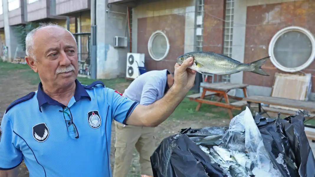 Kolilerden Horoz ve Güvercin Çıktı! 6